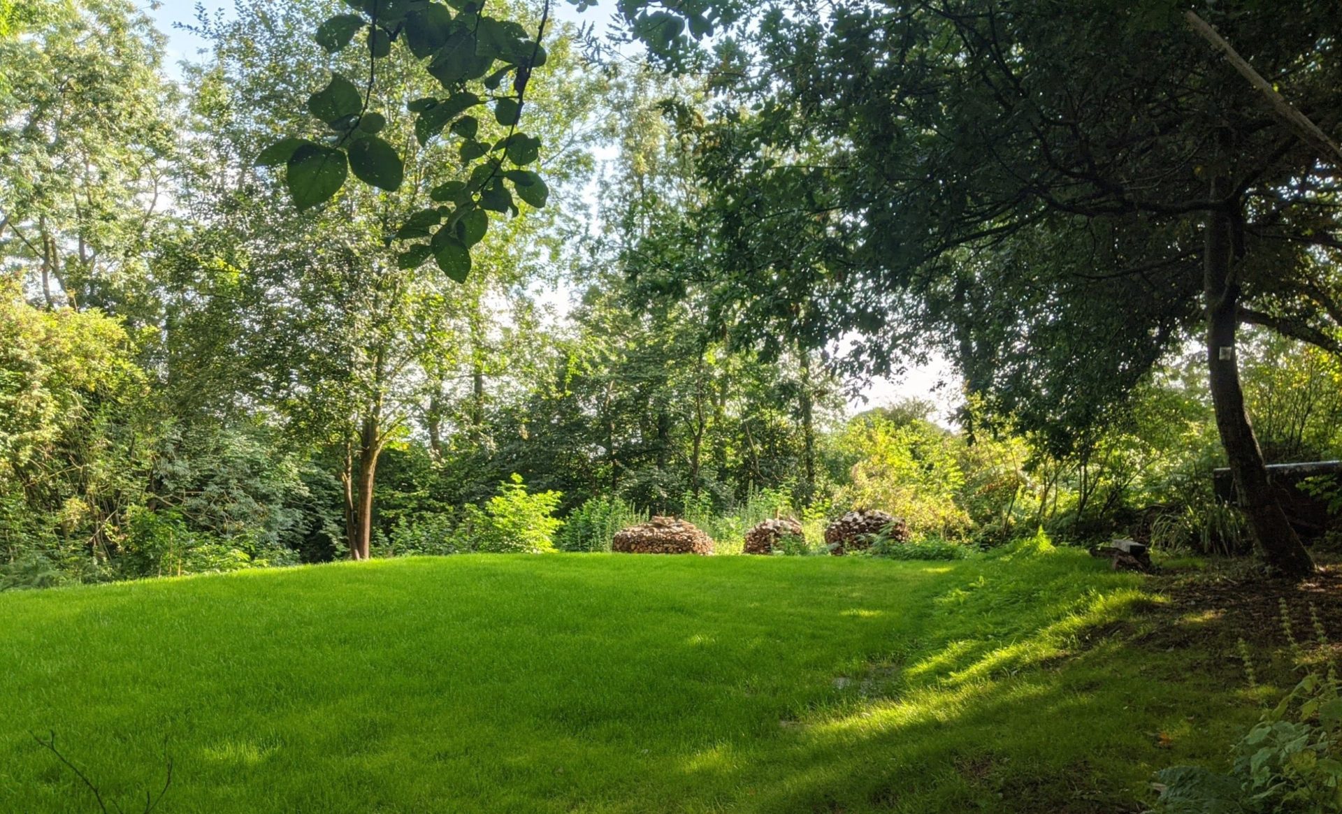 Main campsite pitch at Swallow Barn Wood